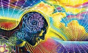 brain