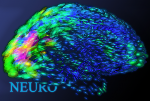 neuro
