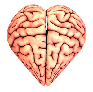 love_neuroscience