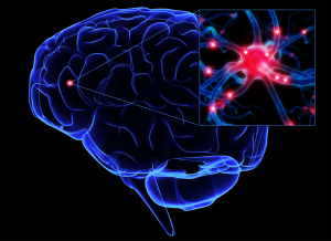 neuroscience