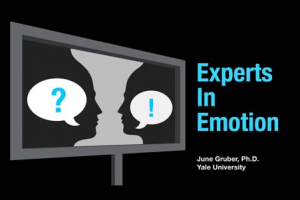 emotion_experts